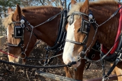 2024 Farm Photos