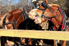 2024 Farm Photos