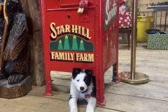 2024 Farm Photos