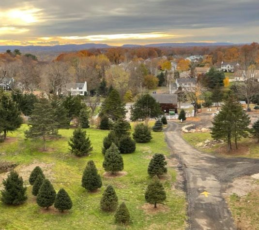 View from the hilltop