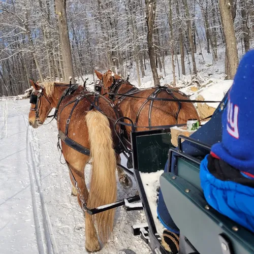Horse-drawn Wagon Rides at Star Hill Family Farm